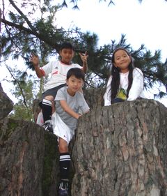 f0062870_830221.jpg
