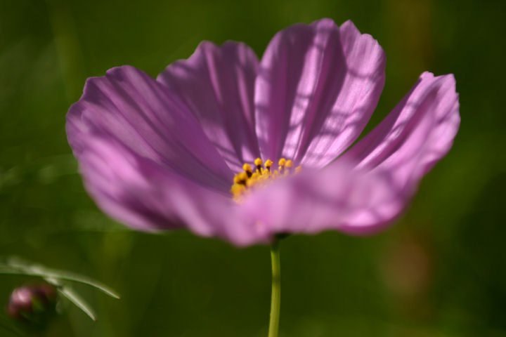 d0079373_0594731.jpg