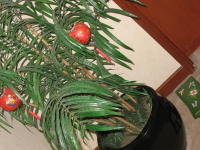 e0073274_103925.jpg