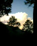 f0004180_10471736.jpg