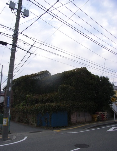 a0043982_2343567.jpg