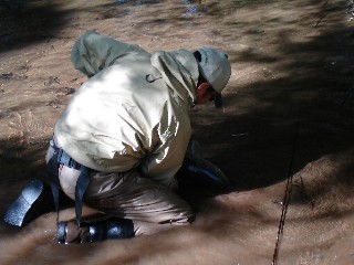 e0052088_15153497.jpg