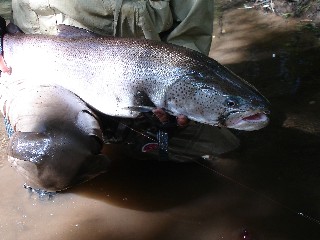 e0052088_1518165.jpg