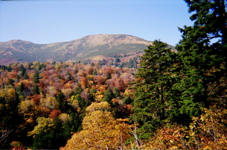 a0064290_23244396.jpg