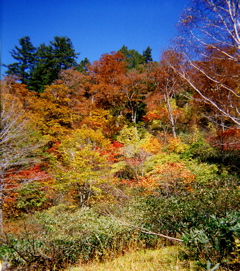a0064290_23252568.jpg