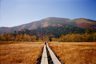 a0064290_2325459.jpg