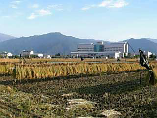 b0012010_1231530.jpg