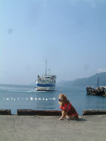 c0017311_1315113.jpg