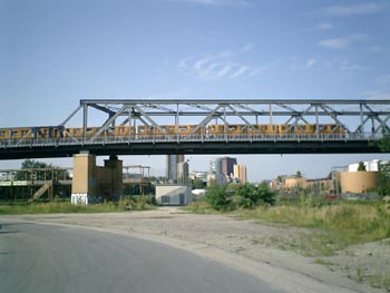 e0038811_532526.jpg