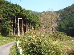 e0038912_22244792.jpg