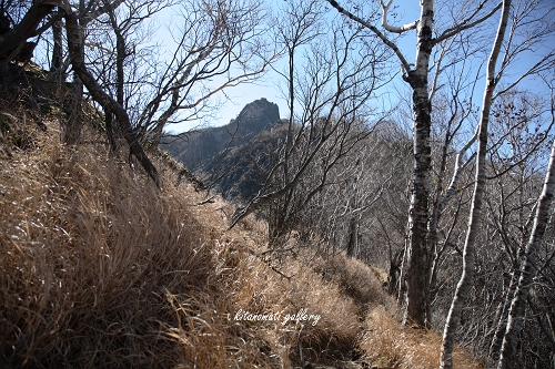 c0073613_21325941.jpg