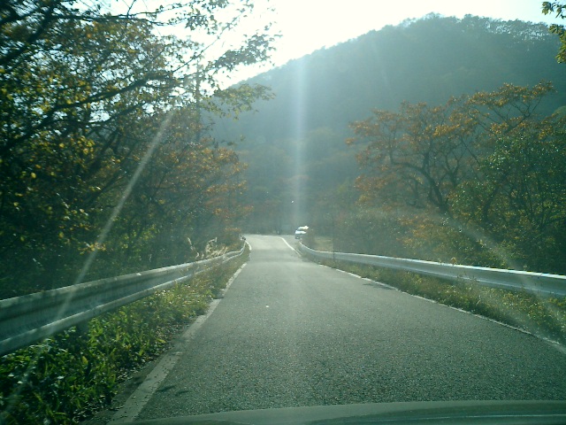 f0000616_0223313.jpg