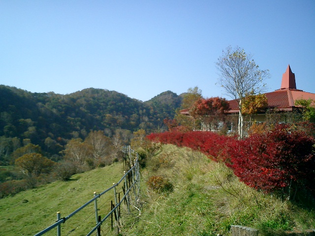 f0000616_041142.jpg