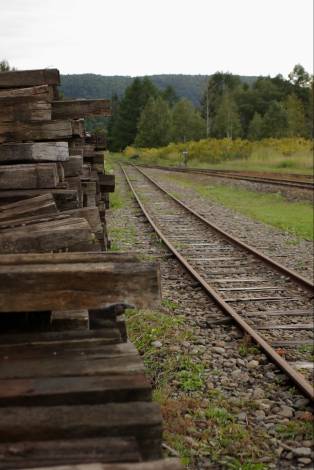 e0002817_2041187.jpg