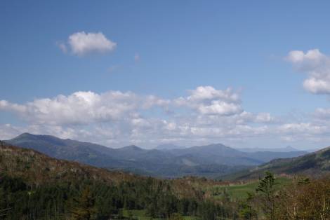 e0002817_2065235.jpg