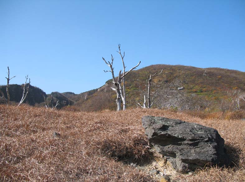 d0080118_22213977.jpg