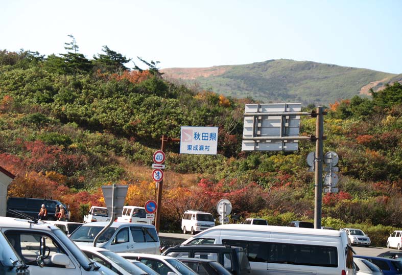 d0080118_2223964.jpg