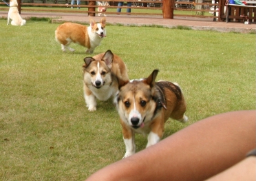 e0071225_0249100.jpg