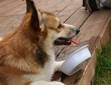 e0071225_043468.jpg
