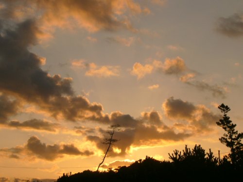 d0018131_18393110.jpg