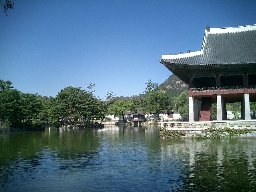 b0060042_23321795.jpg