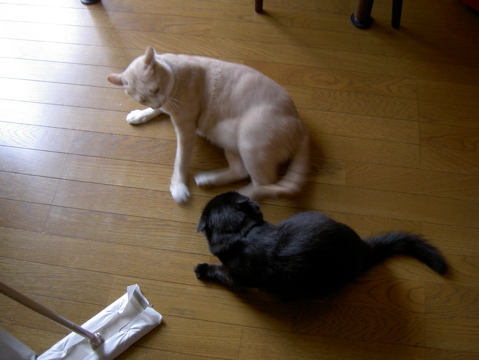 e0058443_23153313.jpg