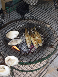 e0058443_233861.jpg