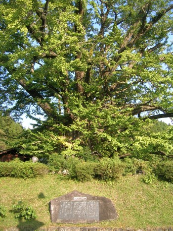 c0014846_12343490.jpg