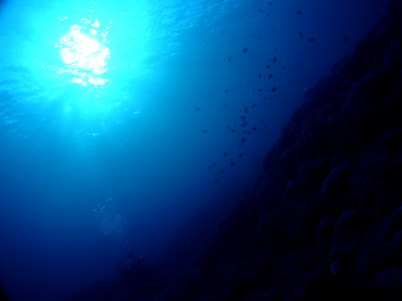 d0065247_23445253.jpg