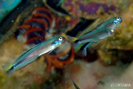 e0027447_2244087.jpg