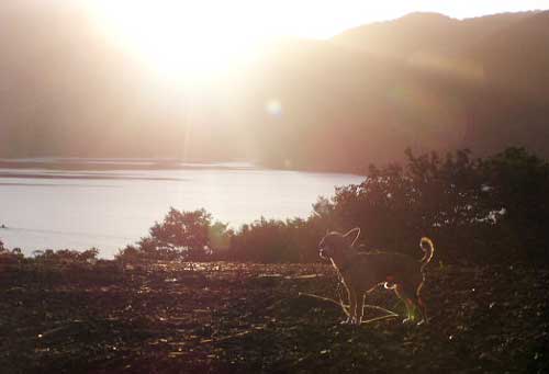 c0019050_4112932.jpg