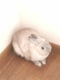 f0104057_20522264.jpg