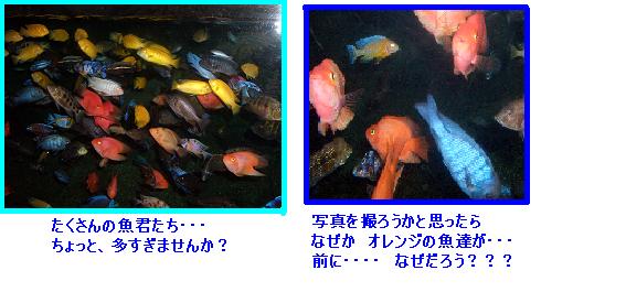 b0071558_2241359.jpg