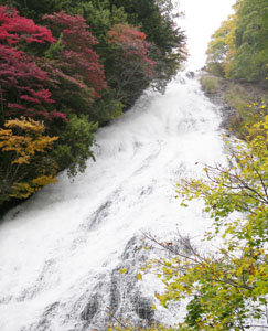 a0075661_2254480.jpg