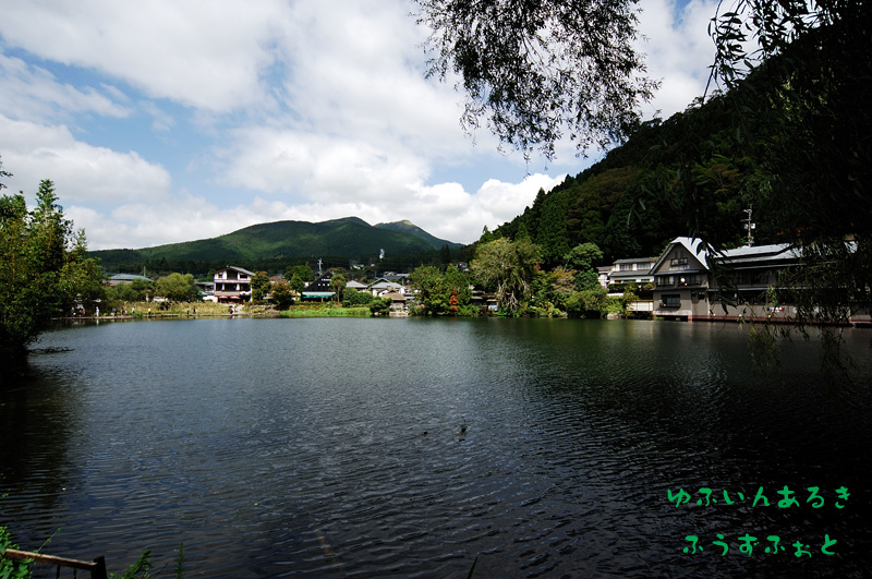 d0013363_21391683.jpg