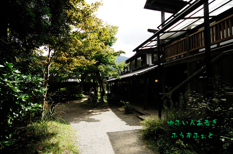 d0013363_21434169.jpg