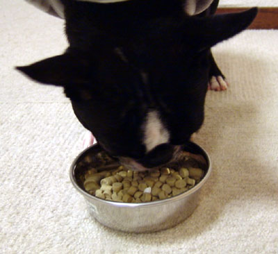c0032567_2244824.jpg