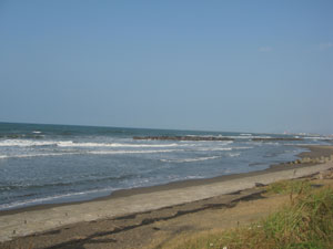 d0050871_2271197.jpg