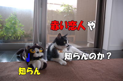 b0041182_0244997.jpg