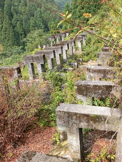f0103688_21284315.jpg