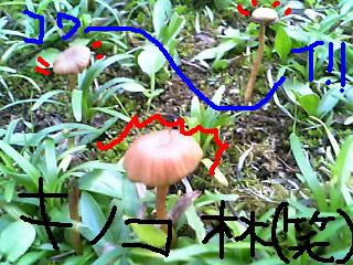 e0086589_20115091.jpg