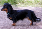 a0079292_1355752.jpg