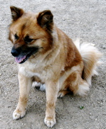 a0079292_1372236.jpg