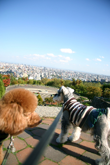 f0001895_1445556.jpg