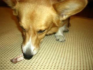 f0077097_19104552.jpg