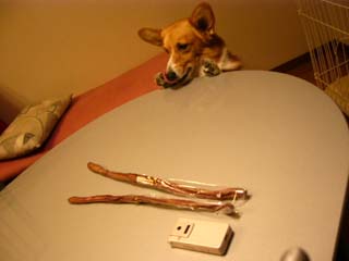 f0077097_1983492.jpg