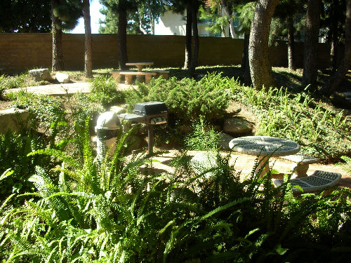 e0103700_52412.jpg