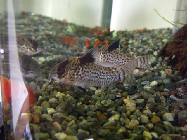 e0010301_15581956.jpg
