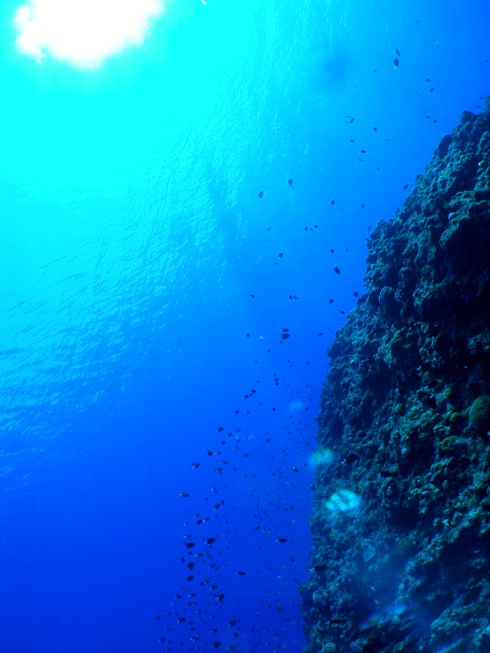 a0082706_010468.jpg