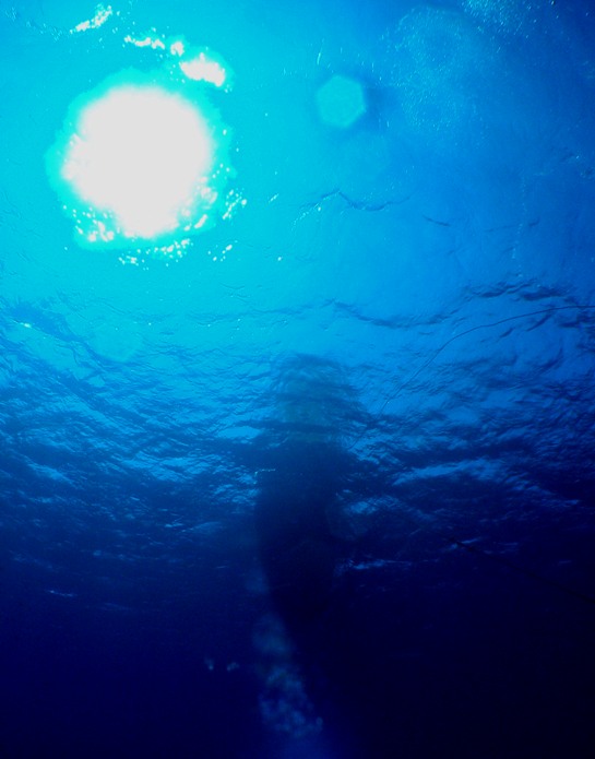 a0082706_026278.jpg